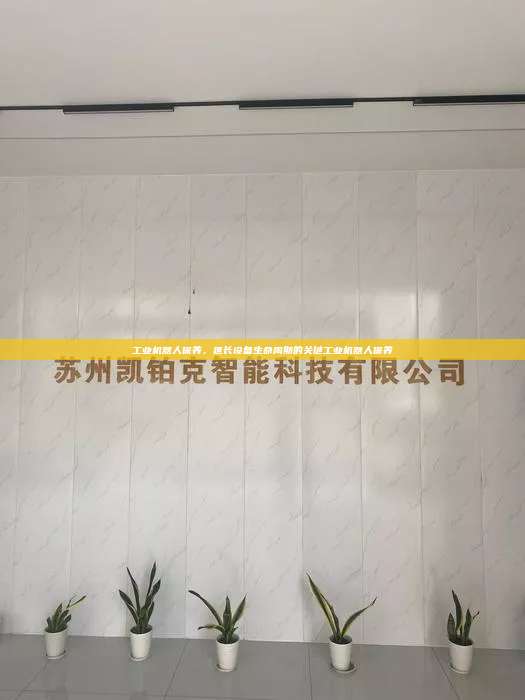 工業(yè)機(jī)器人保養(yǎng)，延長(zhǎng)設(shè)備生命周期的關(guān)鍵工業(yè)機(jī)器人保養(yǎng)