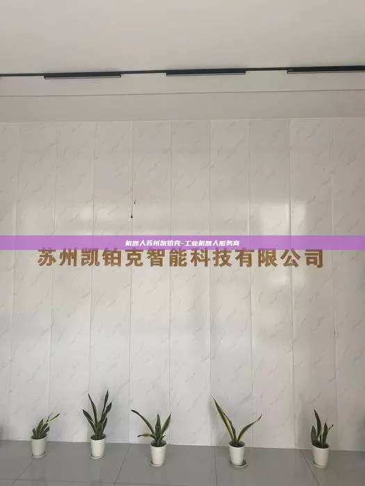 機(jī)器人蘇州凱鉑克-工業(yè)機(jī)器人服務(wù)商