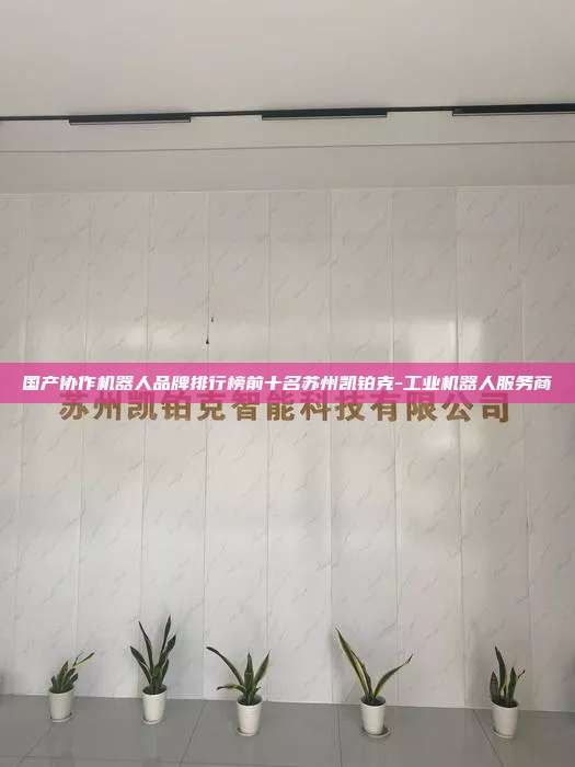 國產(chǎn)協(xié)作機器人品牌排行榜前十名蘇州凱鉑克-工業(yè)機器人服務商