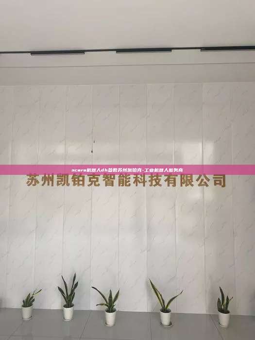 scara機(jī)器人dh參數(shù)蘇州凱鉑克-工業(yè)機(jī)器人服務(wù)商